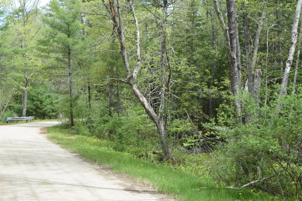 Lot #30 Potter Road Lisbon ME 04252