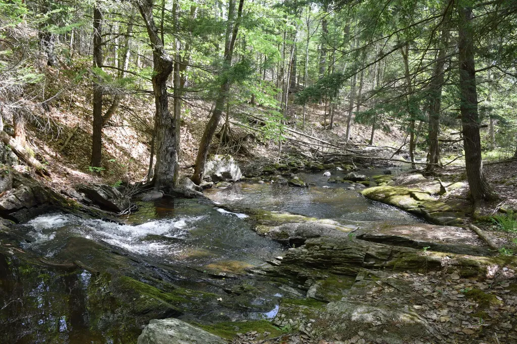 Lot #30 Potter Road Lisbon ME 04252