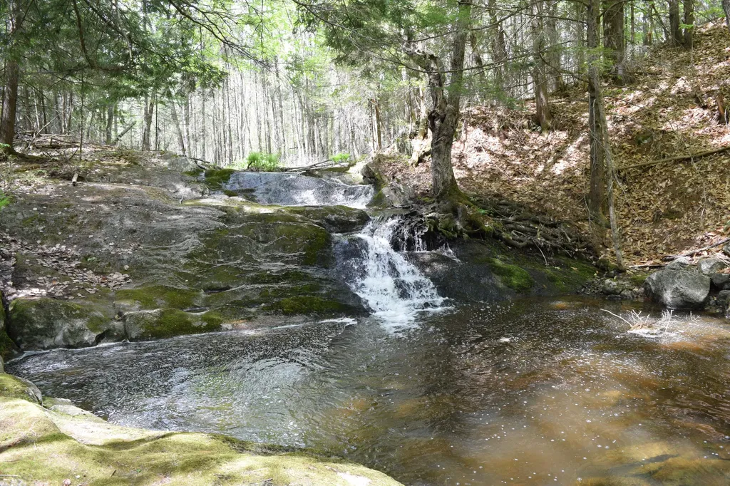 Lot #30 Potter Road Lisbon ME 04252