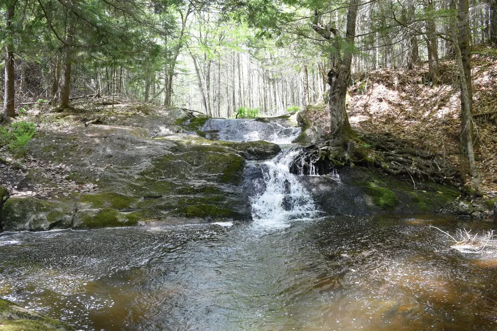 Lot #30 Potter Road Lisbon ME 04252