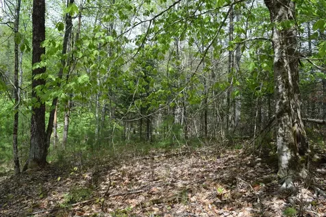 Lot #30 Potter Road Lisbon ME 04252