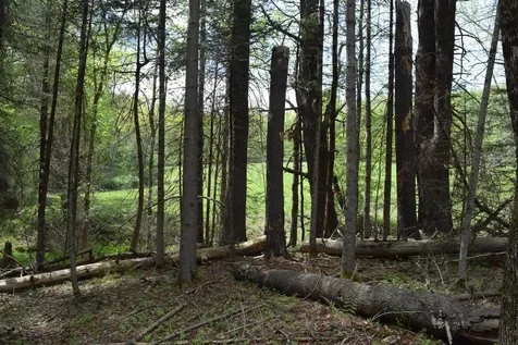 Lot #30 Potter Road Lisbon ME 04252