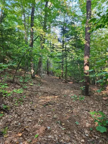 14 Webster Road Greene ME 04236