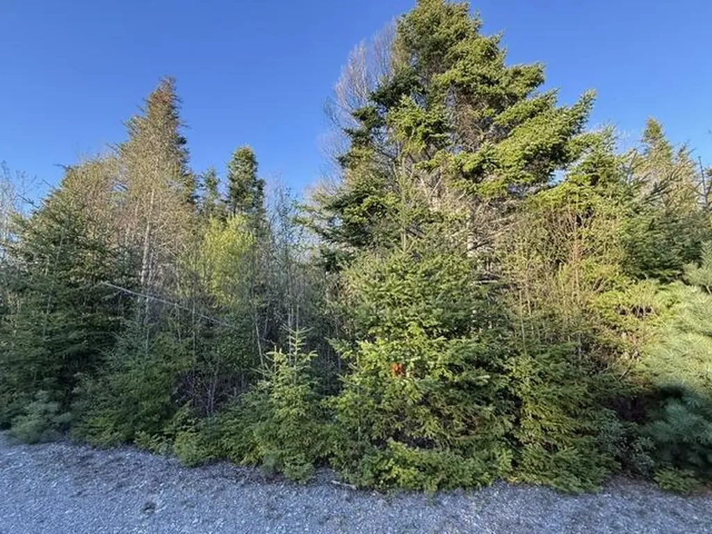 Lot 009 Off Of Reynolds Brook Road Whiting ME 04691