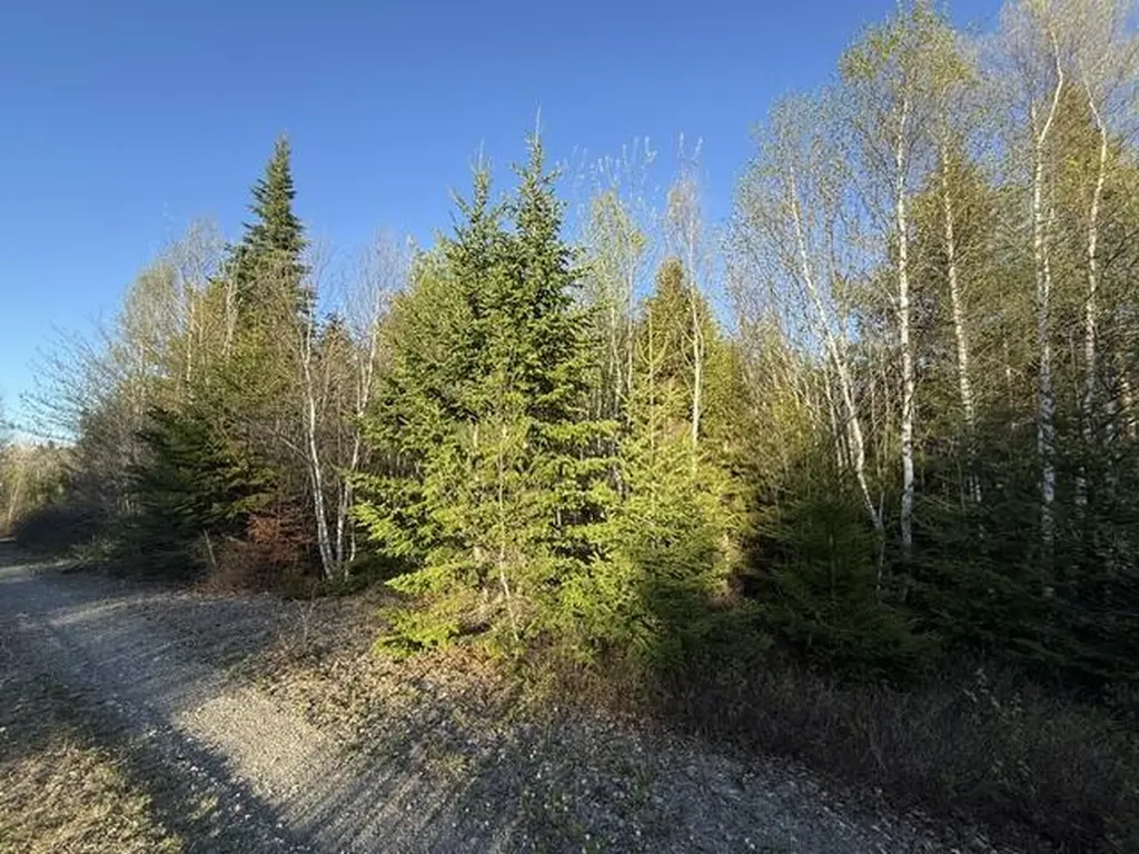Lot 009 Off Of Reynolds Brook Road Whiting ME 04691