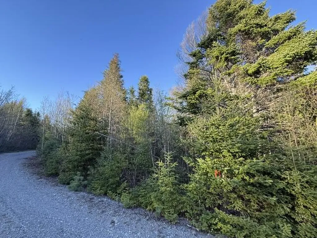 Lot 009 Off Of Reynolds Brook Road Whiting ME 04691