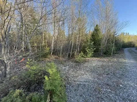 Lot 009 Off Of Reynolds Brook Road Whiting ME 04691