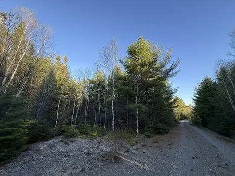 Lot 009 Off Of Reynolds Brook Road Whiting ME 04691