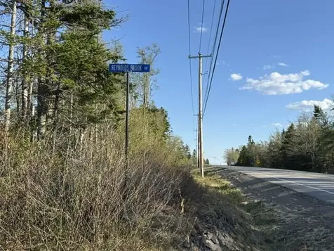 Lot 009 Off Of Reynolds Brook Road Whiting ME 04691