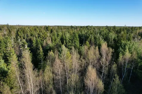 Lot 009 Off Of Reynolds Brook Road Whiting ME 04691