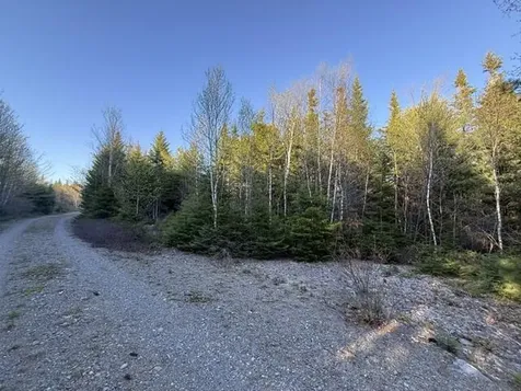 Lot 009 Off Of Reynolds Brook Road Whiting ME 04691