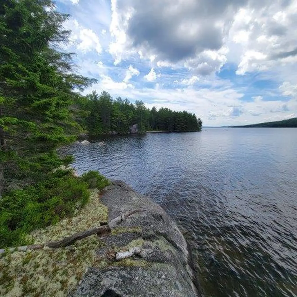 15, 15.1 Wadleigh Pond Road T4 Indian Purchase Twp ME 04462