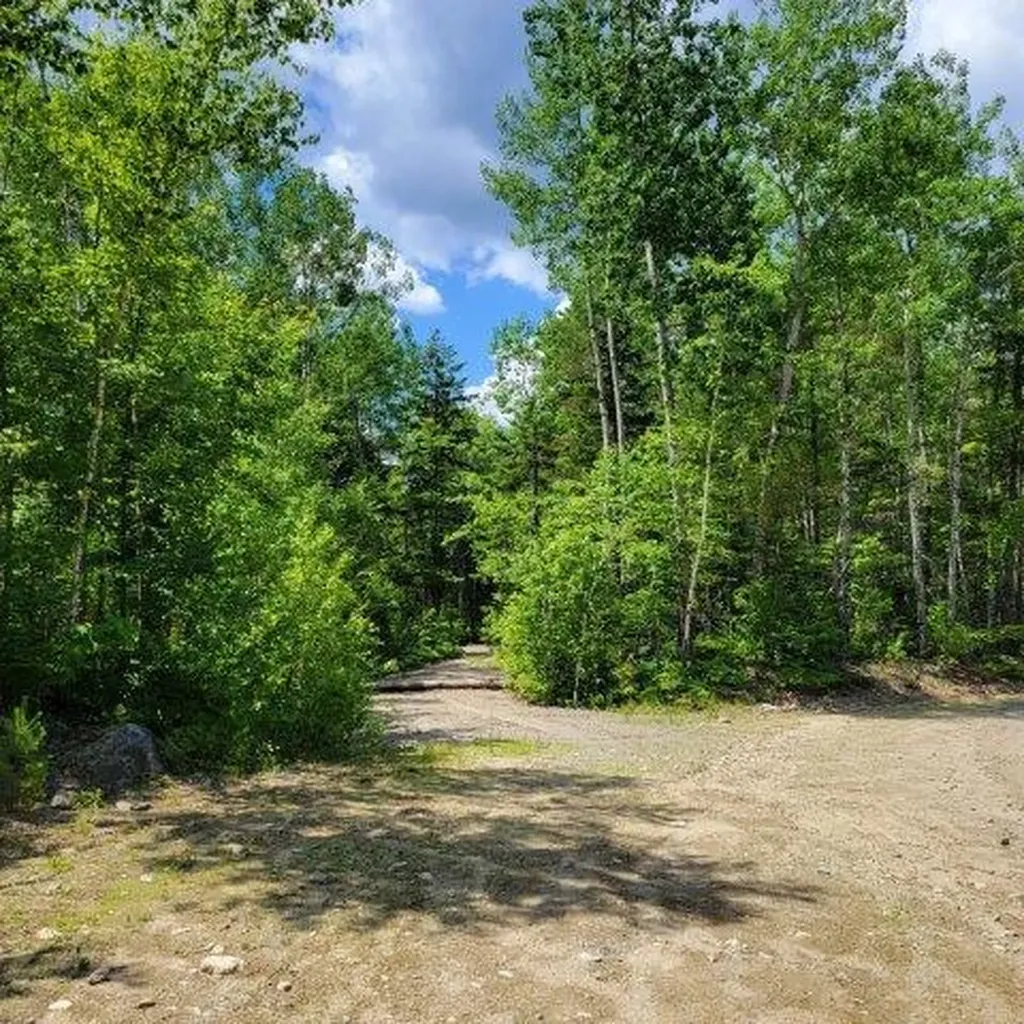 15, 15.1 Wadleigh Pond Road T4 Indian Purchase Twp ME 04462