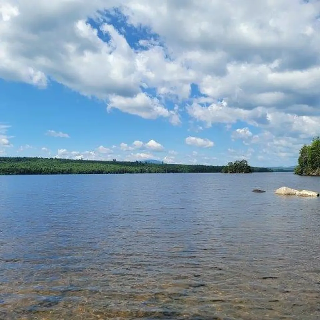 15, 15.1 Wadleigh Pond Road T4 Indian Purchase Twp ME 04462