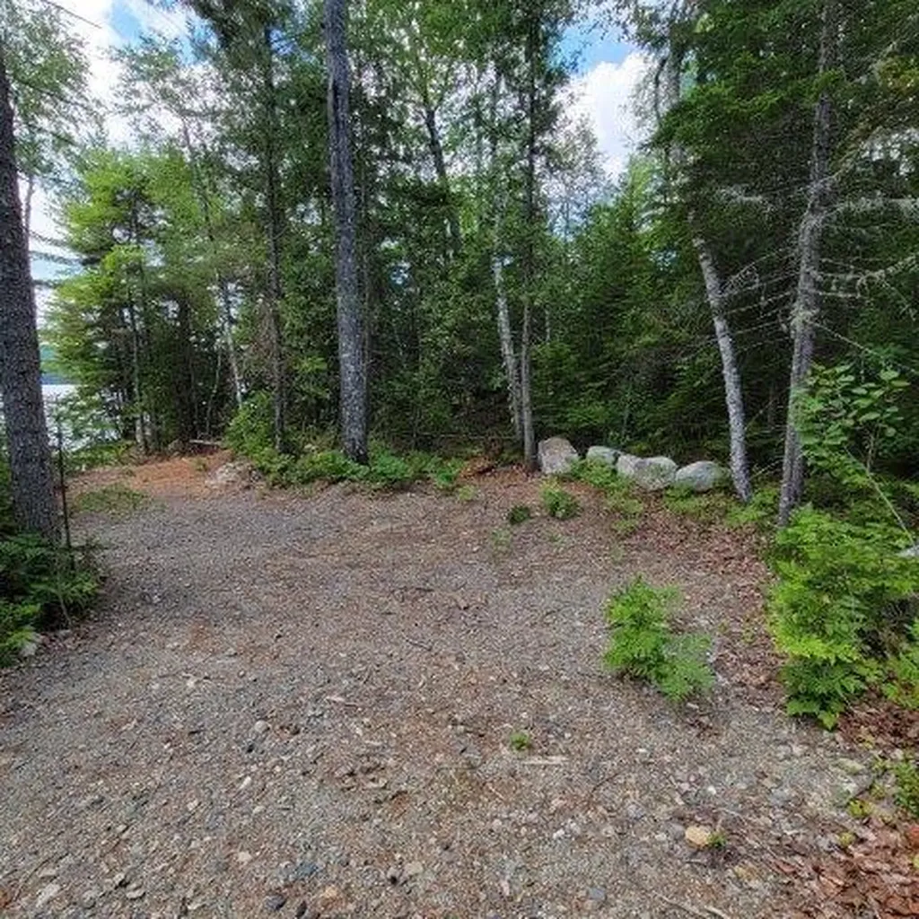 15, 15.1 Wadleigh Pond Road T4 Indian Purchase Twp ME 04462