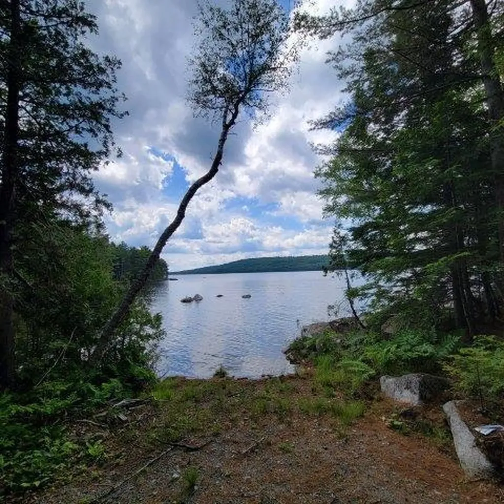 15, 15.1 Wadleigh Pond Road T4 Indian Purchase Twp ME 04462