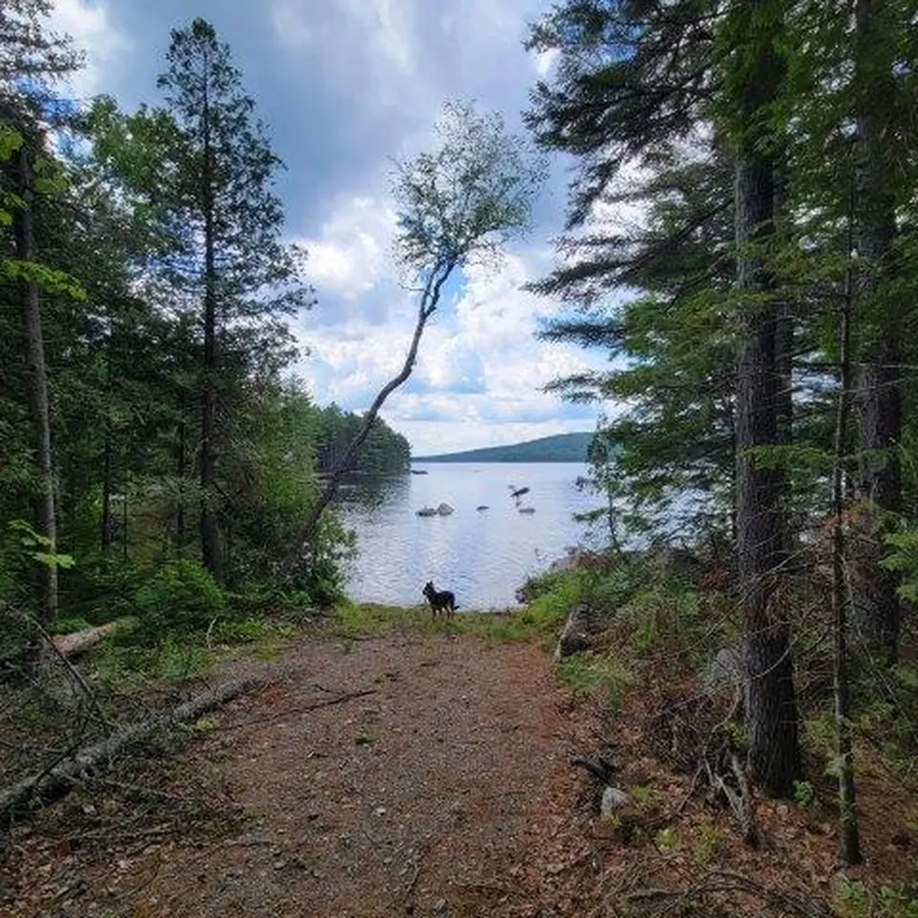 15, 15.1 Wadleigh Pond Road T4 Indian Purchase Twp ME 04462