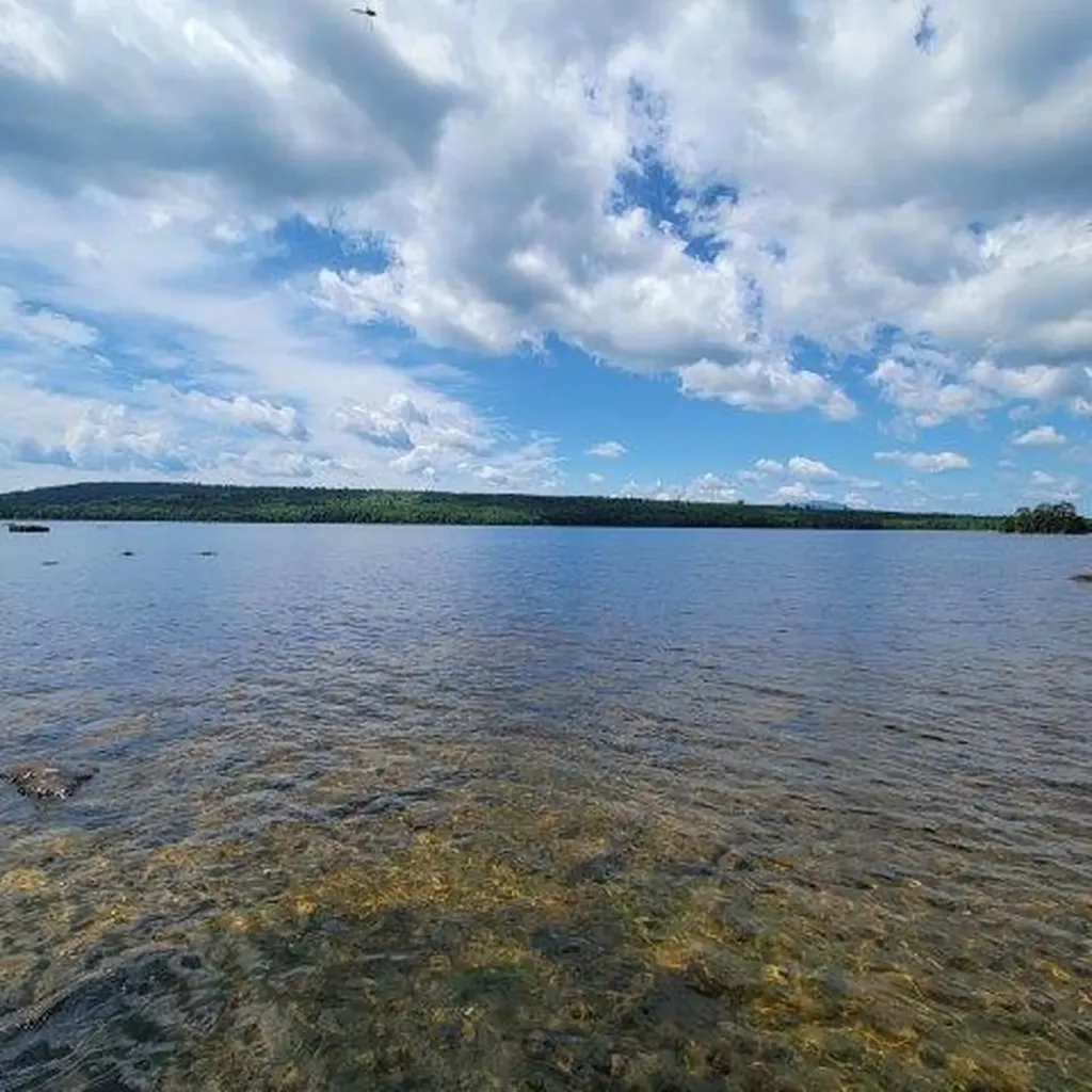 15, 15.1 Wadleigh Pond Road T4 Indian Purchase Twp ME 04462