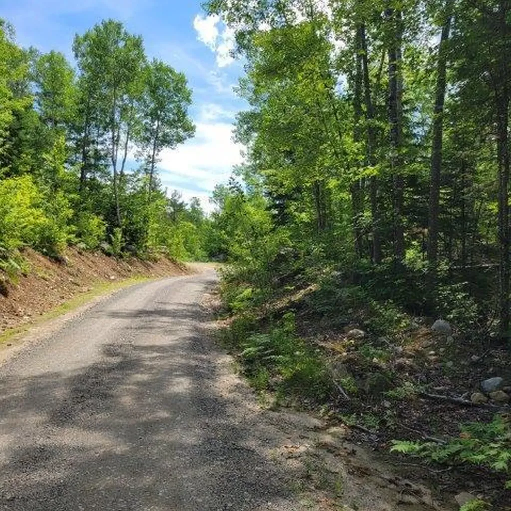 15, 15.1 Wadleigh Pond Road T4 Indian Purchase Twp ME 04462