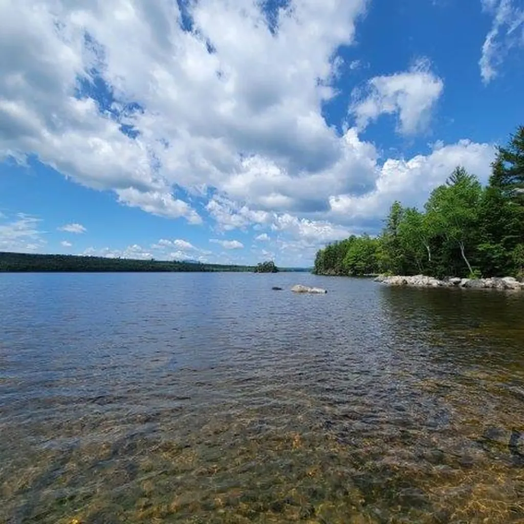 15, 15.1 Wadleigh Pond Road T4 Indian Purchase Twp ME 04462