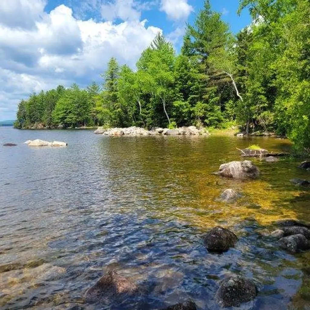 15, 15.1 Wadleigh Pond Road T4 Indian Purchase Twp ME 04462