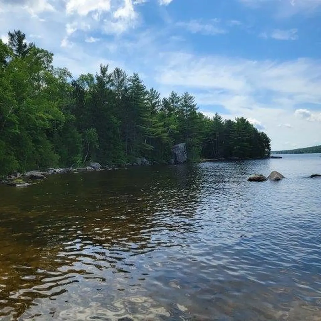 15, 15.1 Wadleigh Pond Road T4 Indian Purchase Twp ME 04462