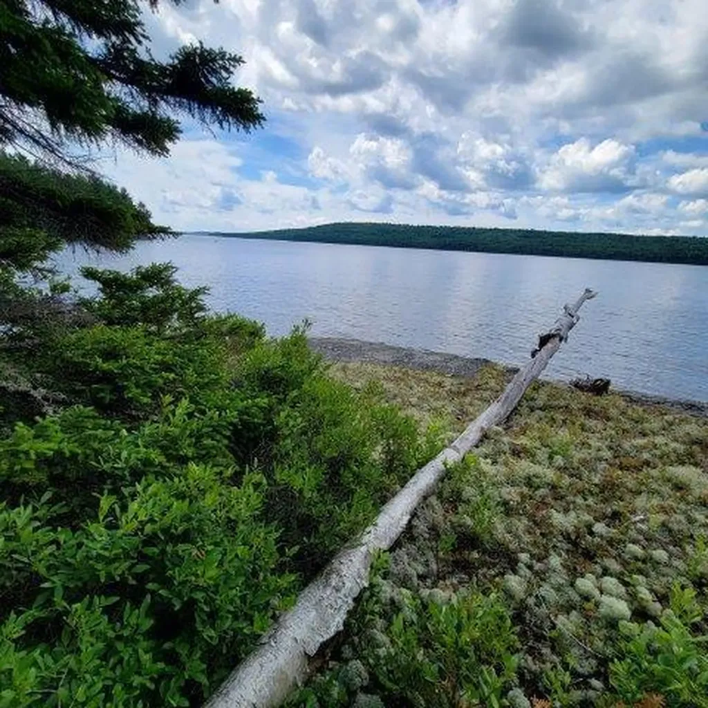15, 15.1 Wadleigh Pond Road T4 Indian Purchase Twp ME 04462