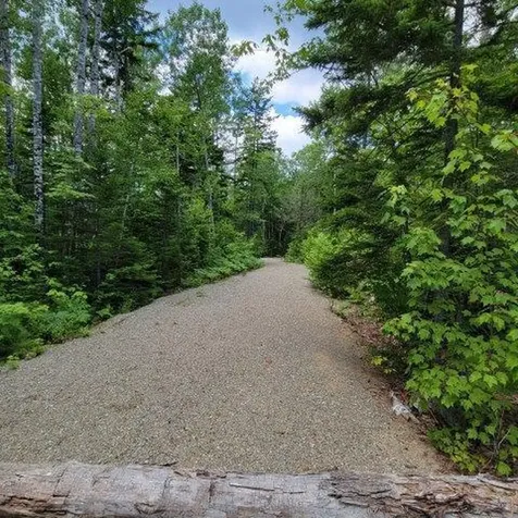 15, 15.1 Wadleigh Pond Road T4 Indian Purchase Twp ME 04462