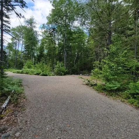 15, 15.1 Wadleigh Pond Road T4 Indian Purchase Twp ME 04462