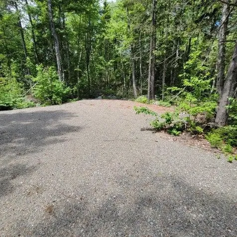 15, 15.1 Wadleigh Pond Road T4 Indian Purchase Twp ME 04462