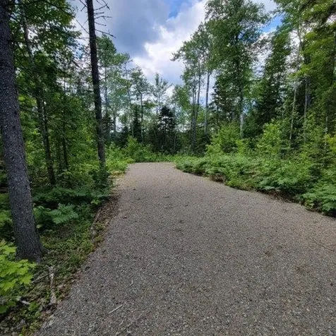 15, 15.1 Wadleigh Pond Road T4 Indian Purchase Twp ME 04462