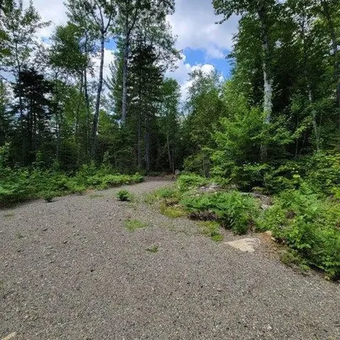 15, 15.1 Wadleigh Pond Road T4 Indian Purchase Twp ME 04462