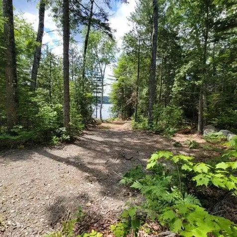 15, 15.1 Wadleigh Pond Road T4 Indian Purchase Twp ME 04462