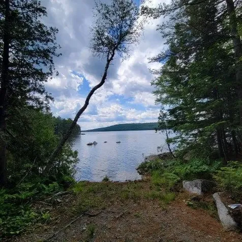 15, 15.1 Wadleigh Pond Road T4 Indian Purchase Twp ME 04462
