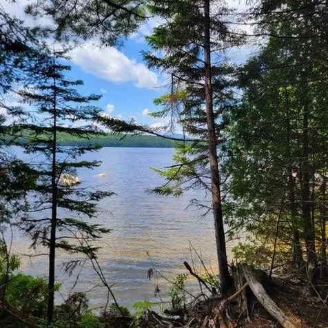 15, 15.1 Wadleigh Pond Road T4 Indian Purchase Twp ME 04462