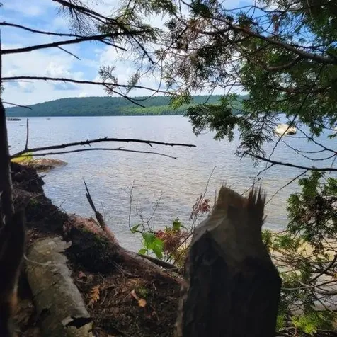 15, 15.1 Wadleigh Pond Road T4 Indian Purchase Twp ME 04462