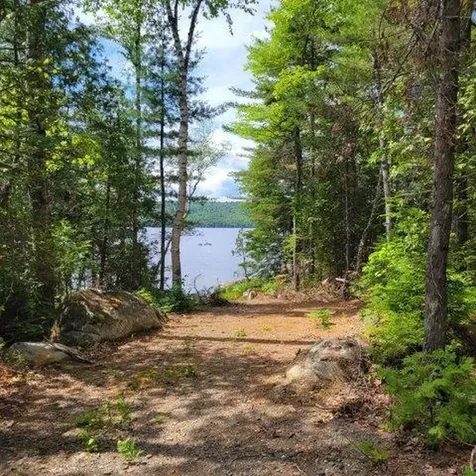 15, 15.1 Wadleigh Pond Road T4 Indian Purchase Twp ME 04462