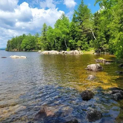 15, 15.1 Wadleigh Pond Road T4 Indian Purchase Twp ME 04462