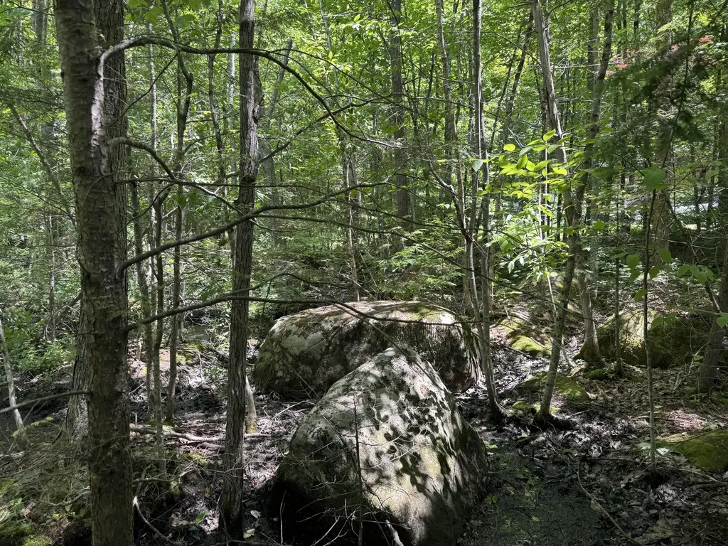 Lot 19 Thomas Pond Shore Road Casco ME 04015