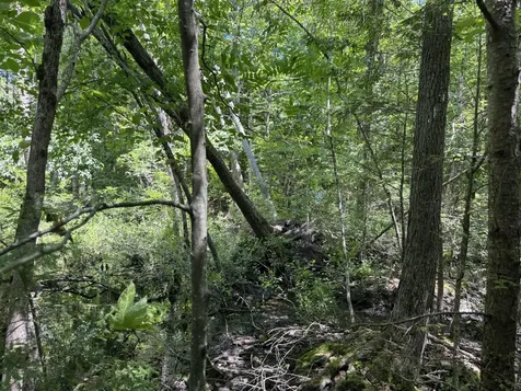 Lot 19 Thomas Pond Shore Road Casco ME 04015