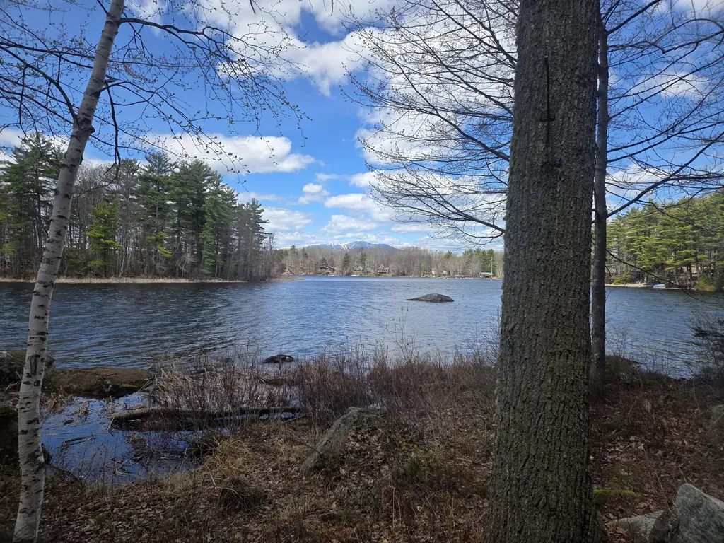 15 Black Bear Lane T1 R9 Wels ME 04462