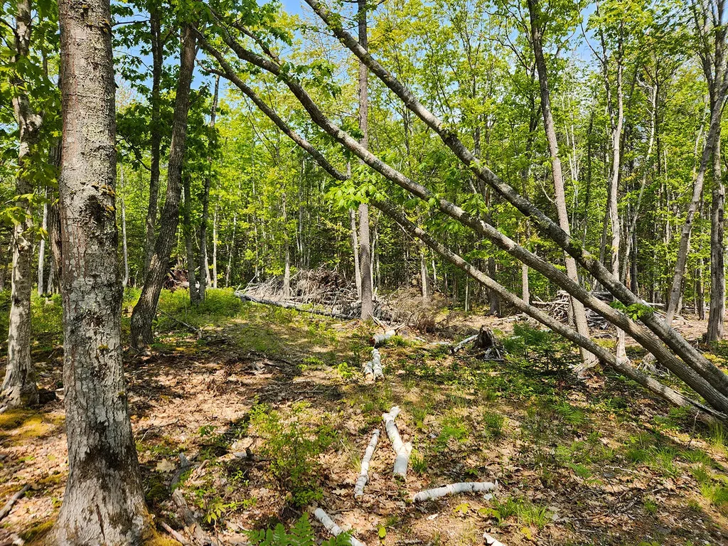 Lot 2 Woodland Drive Kennebunkport ME 04046