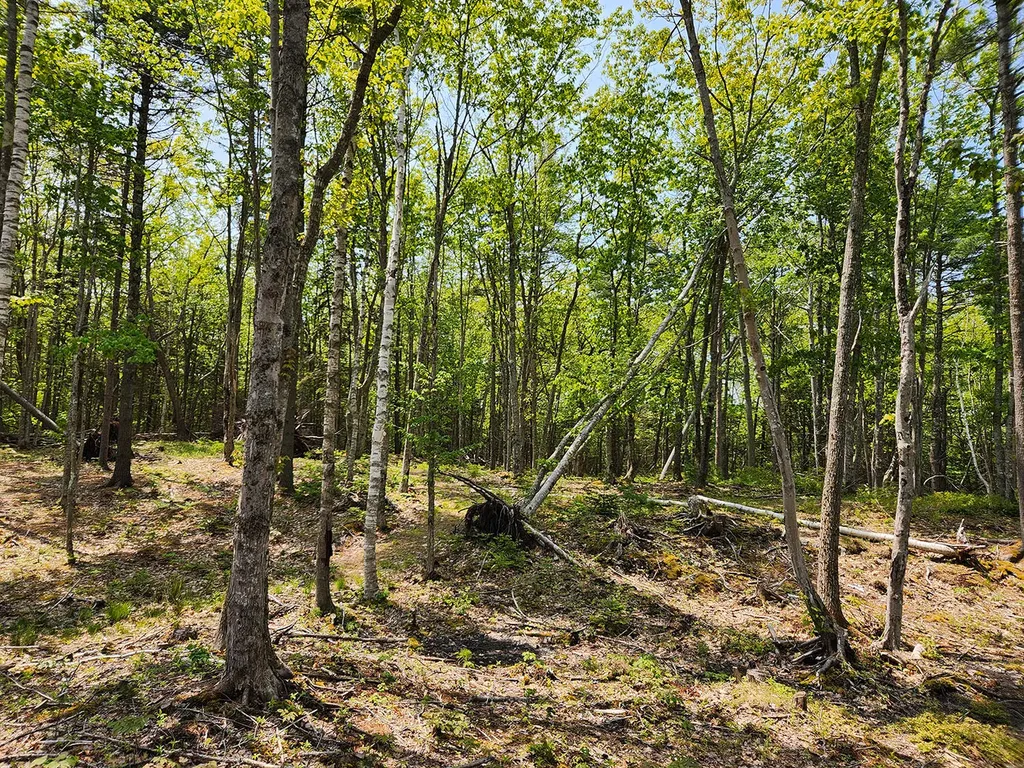 Lot 2 Woodland Drive Kennebunkport ME 04046