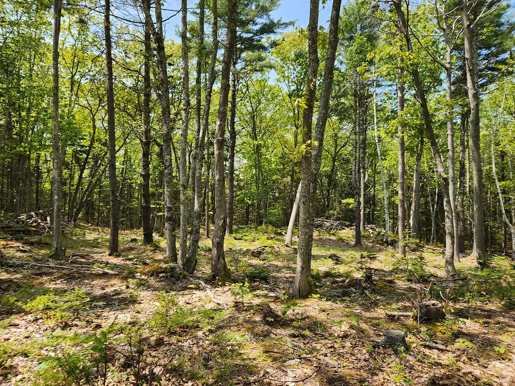 Lot 2 Woodland Drive Kennebunkport ME 04046