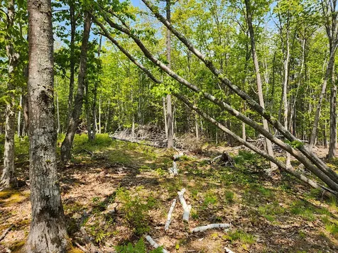 Lot 2 Woodland Drive Kennebunkport ME 04046