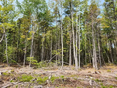 Lot 2 Woodland Drive Kennebunkport ME 04046