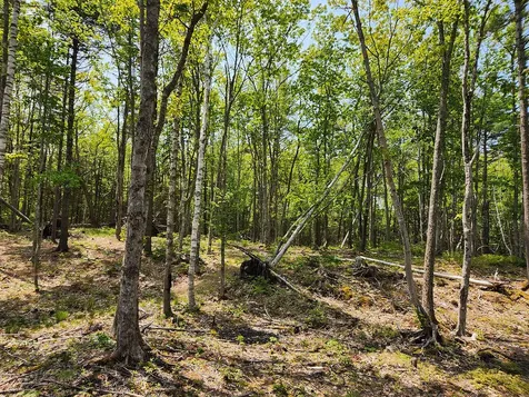 Lot 2 Woodland Drive Kennebunkport ME 04046