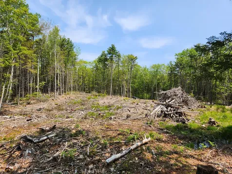 Lot 2 Woodland Drive Kennebunkport ME 04046