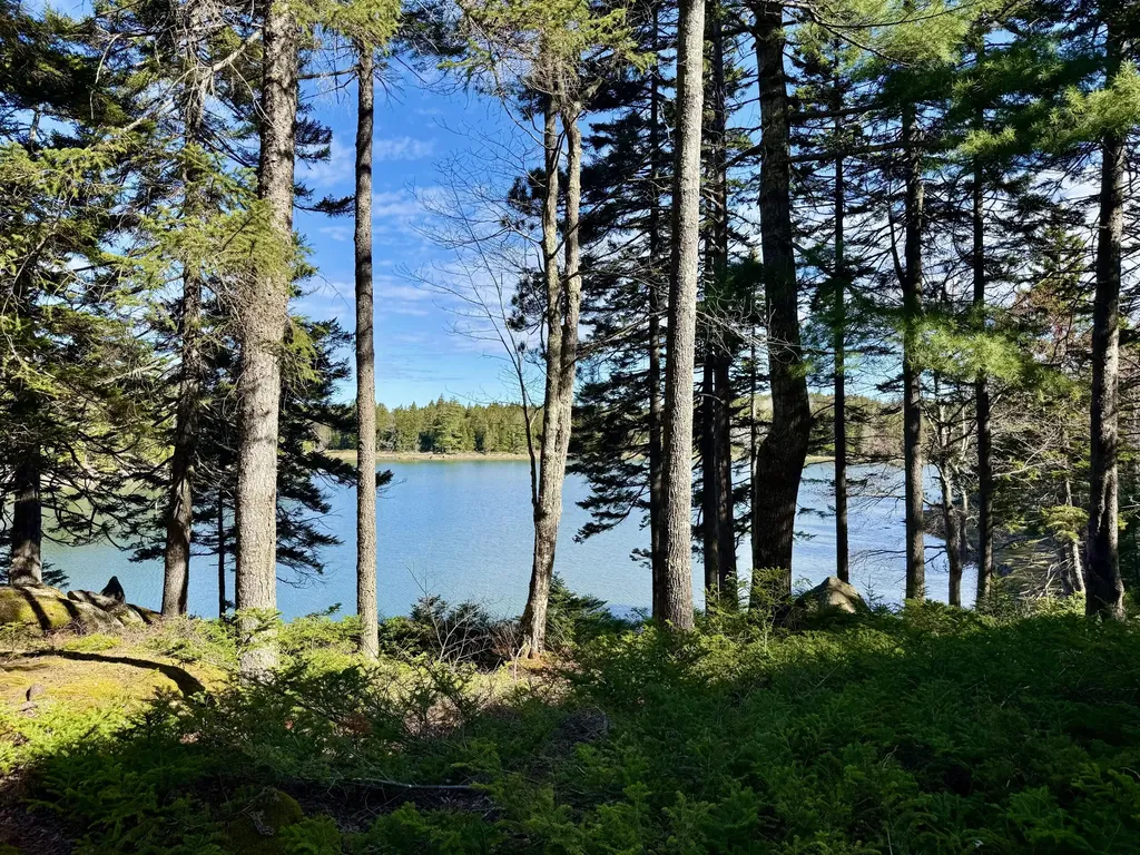 368 Calderwood Neck Road Vinalhaven ME 04863