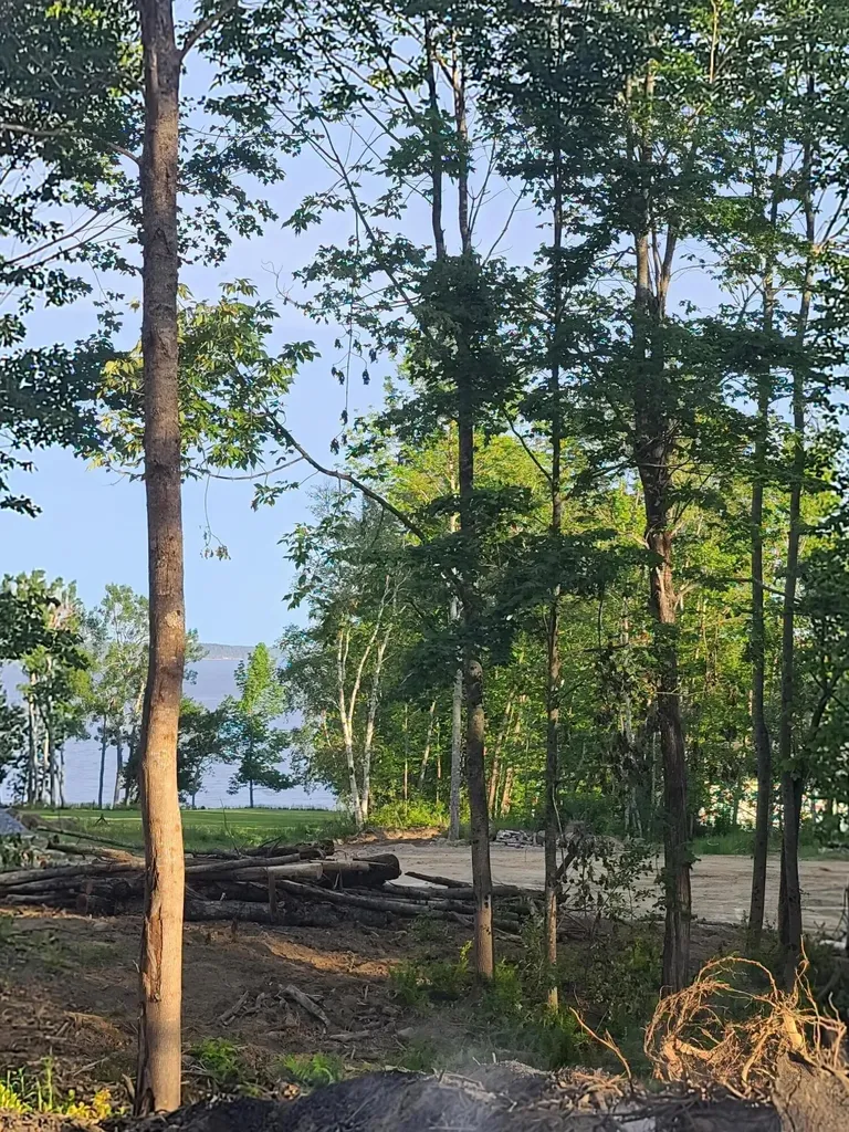 Lot 46 Birch Lane Searsport ME 04974